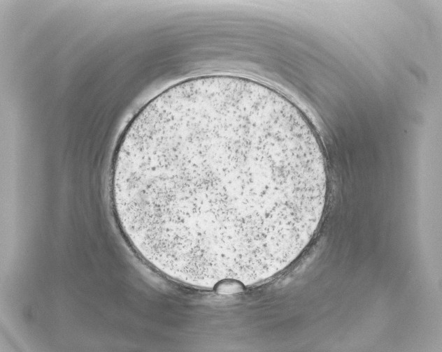 X0000114431525200911271607