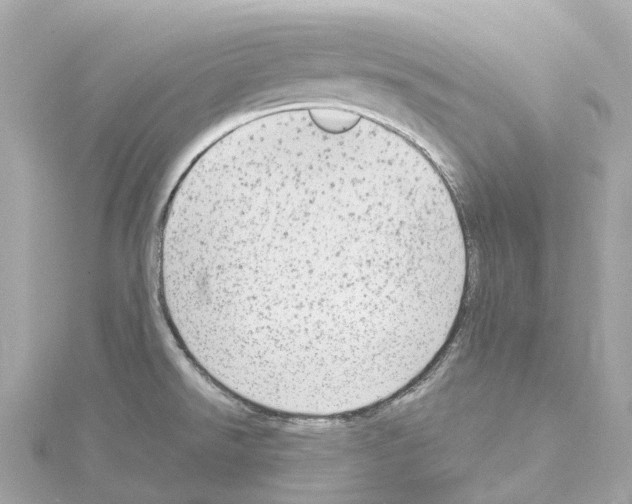 X0000114431526200911271607