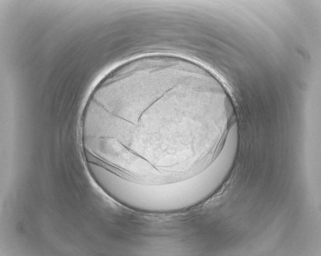 X0000114431527200911271607