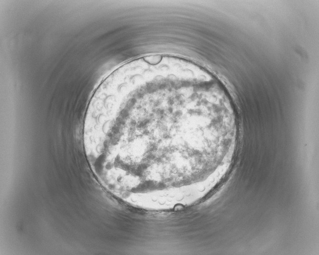 X0000114431529200911271607