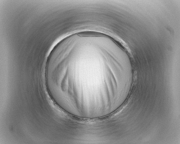 X0000114431530200911271607