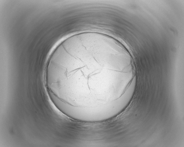 X0000114431531200911271607