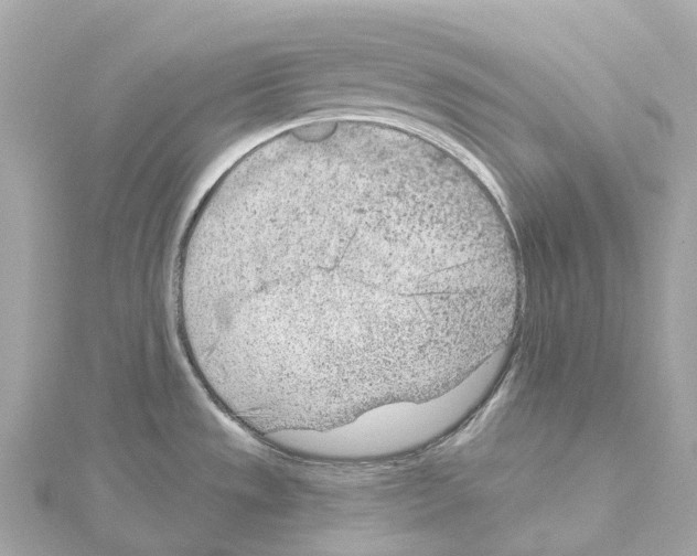 X0000114431533200911271607