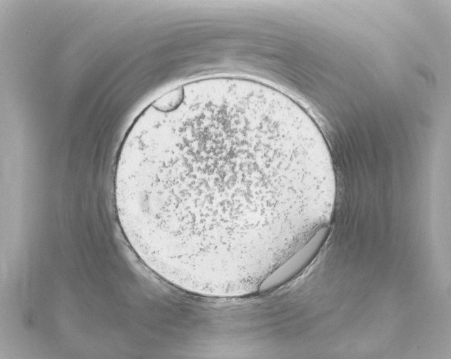 X0000114431534200911271607