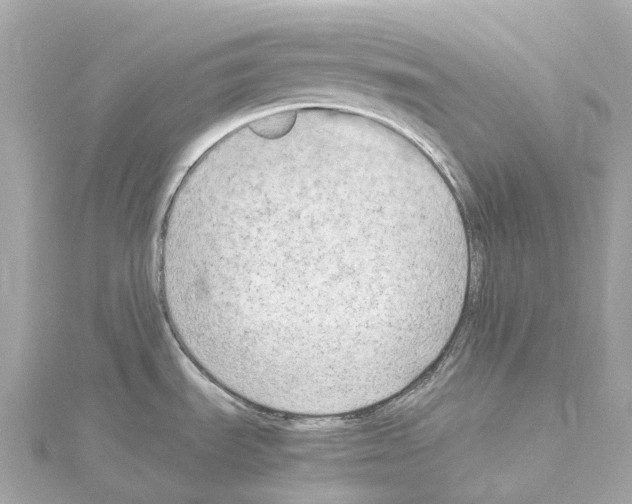 X0000114431535200911271607