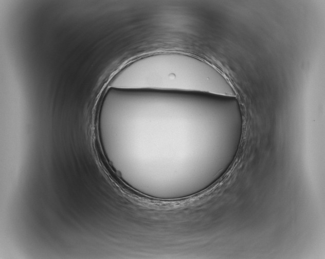 X0000114440002200910161101