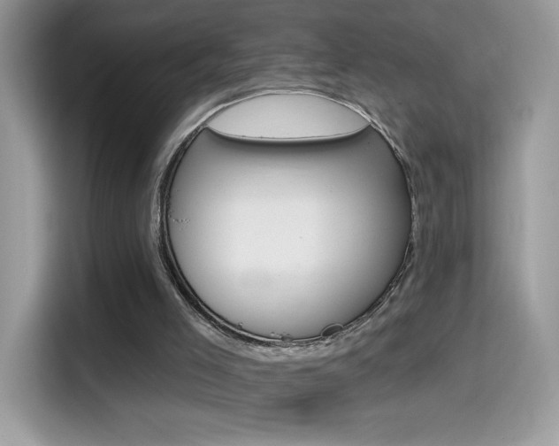 X0000114440005200910161101