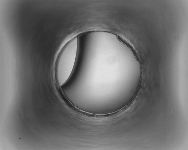 X0000114440008200910161101