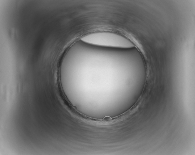 X0000114440010200910161101