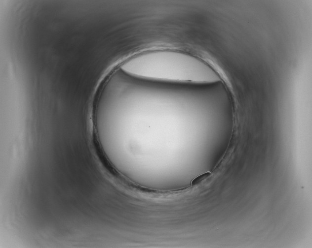 X0000114440011200910161101