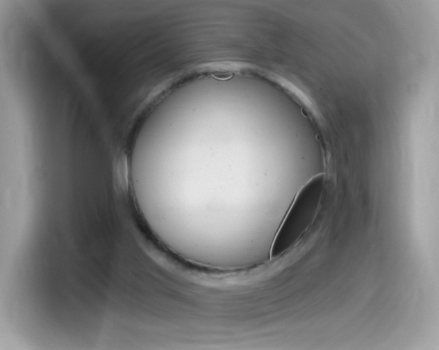 X0000114440013200910161101