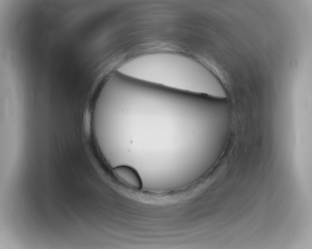 X0000114440014200910161101