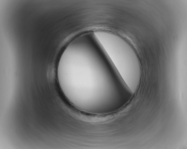 X0000114440016200910161101