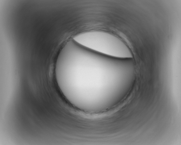 X0000114440018200910161101