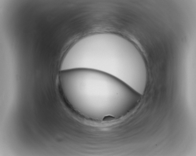 X0000114440019200910161101