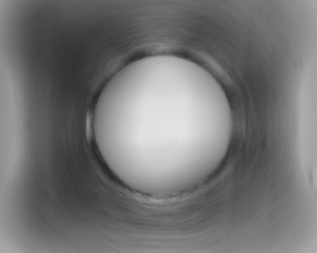 X0000114440022200910161101