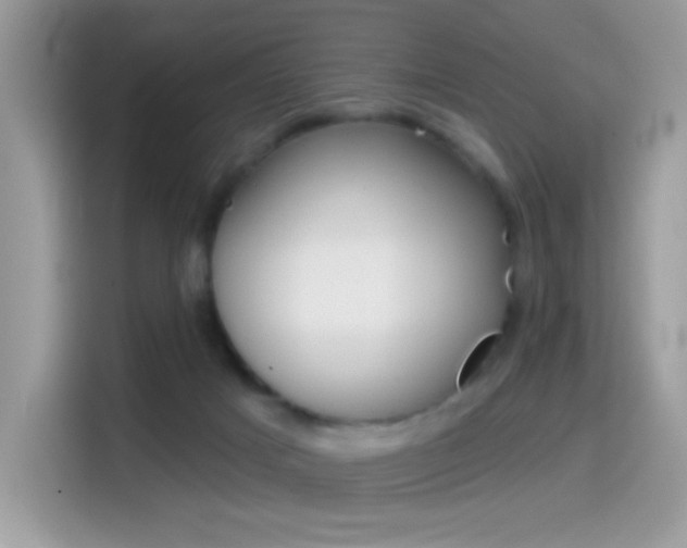 X0000114440025200910161101
