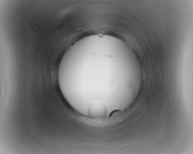 X0000114440030200910161101