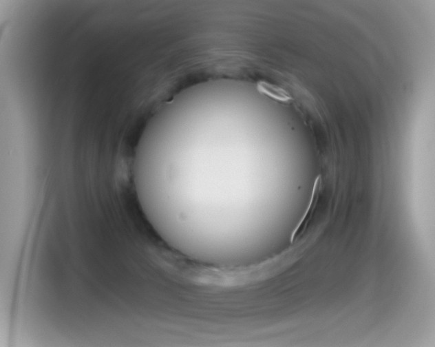 X0000114440033200910161101