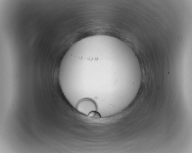 X0000114440034200910161101