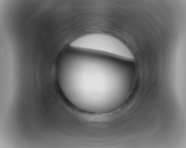 X0000114440036200910161101