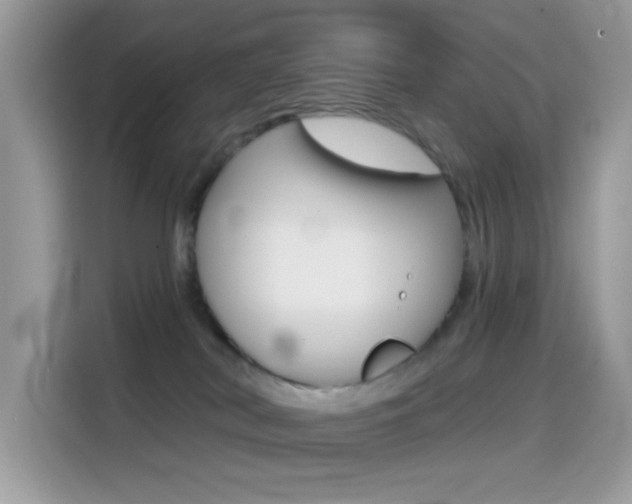 X0000114440038200910161101