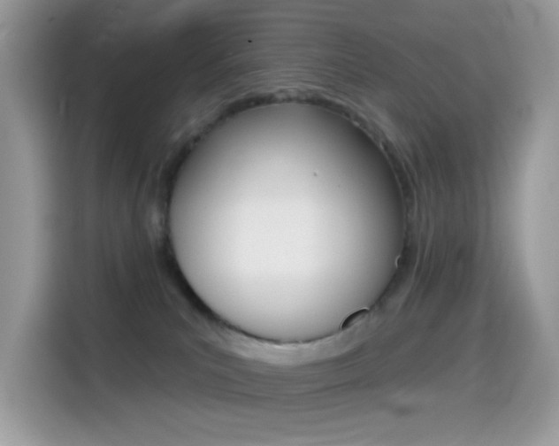 X0000114440039200910161101