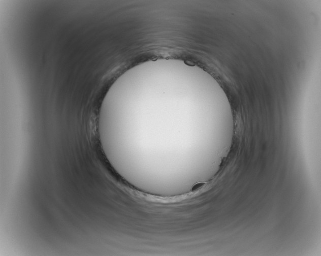 X0000114440043200910161101