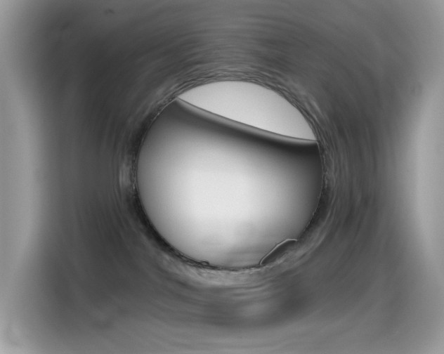 X0000114440044200910161101