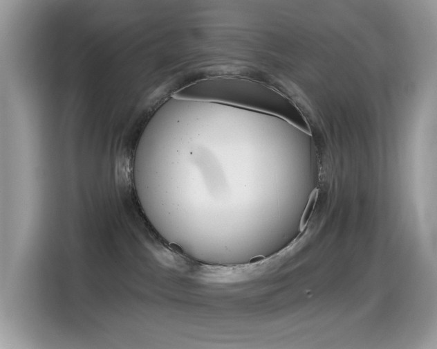 X0000114440045200910161101