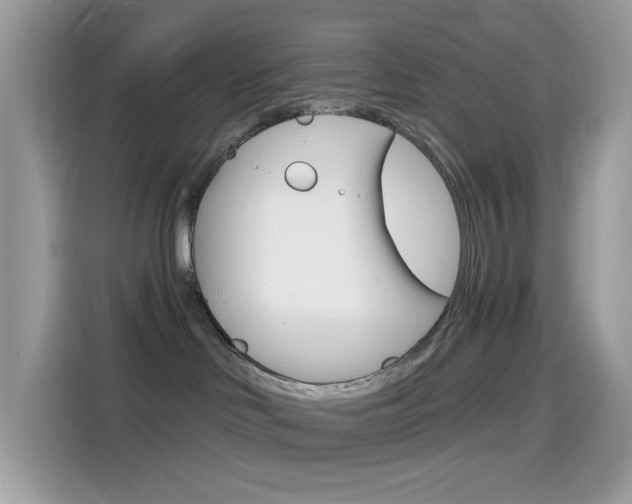 X0000114440046200910161101