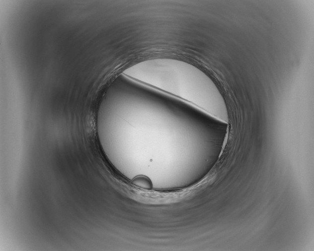 X0000114440048200910161101
