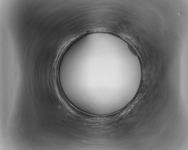 X0000114440049200910161100
