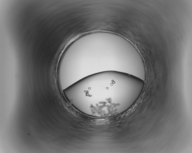 X0000114440050200910161100