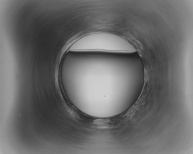 X0000114440051200910161100