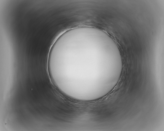 X0000114440052200910161100