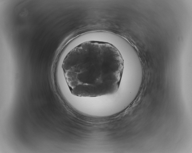 X0000114440053200910161100