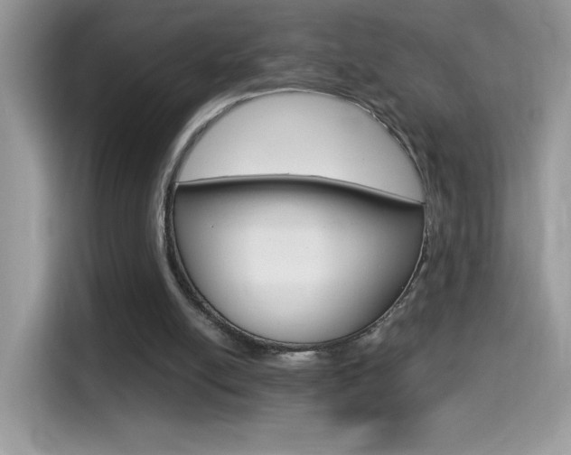 X0000114440054200910161100