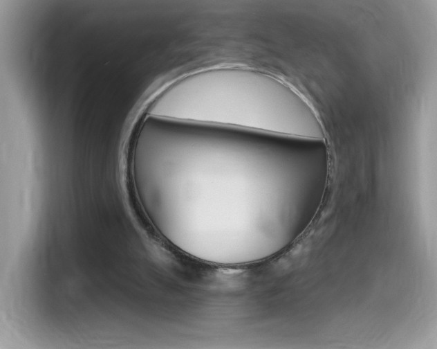 X0000114440055200910161100