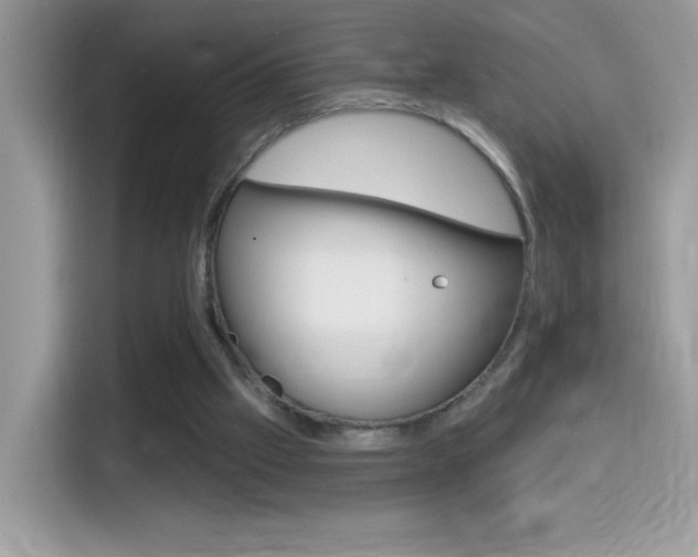 X0000114440057200910161100