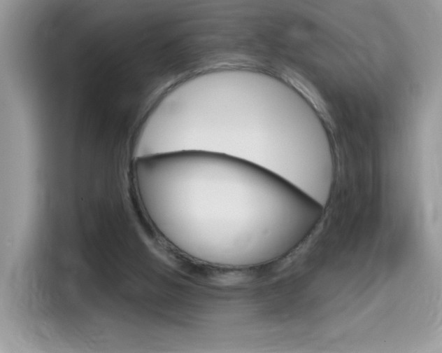 X0000114440058200910161100