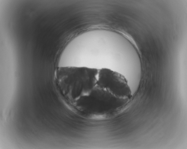 X0000114440061200910161100