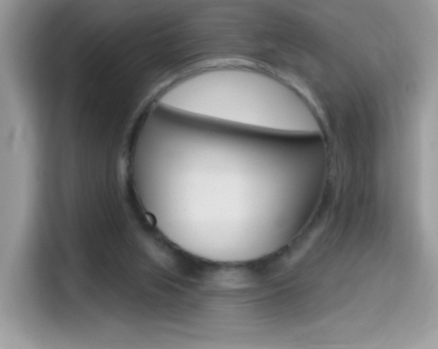 X0000114440063200910161100