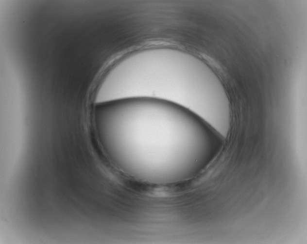 X0000114440064200910161100