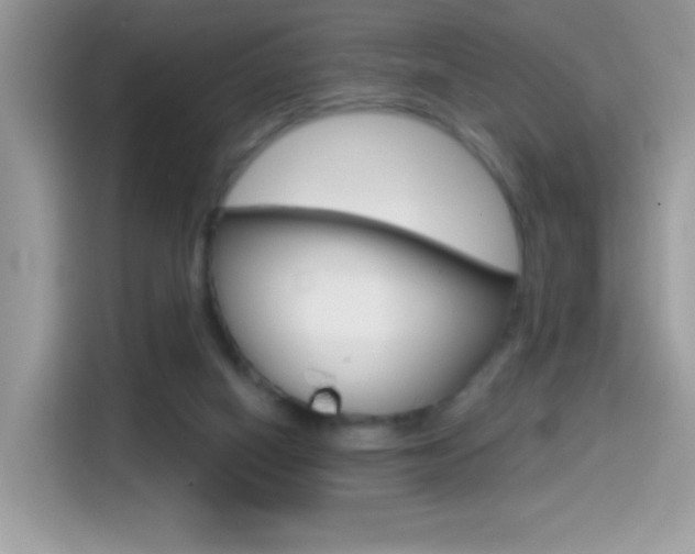 X0000114440066200910161100