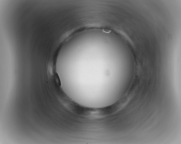X0000114440068200910161100