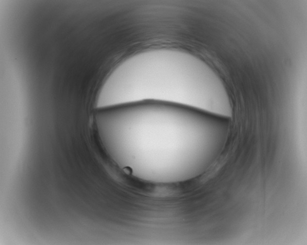 X0000114440070200910161100