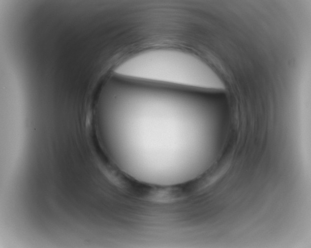 X0000114440072200910161100