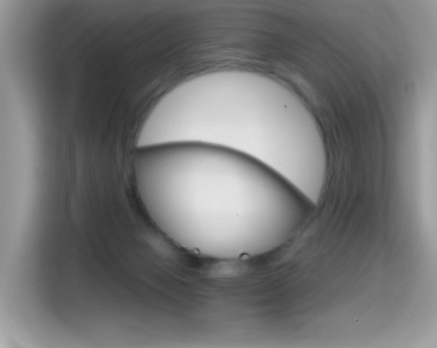 X0000114440077200910161100