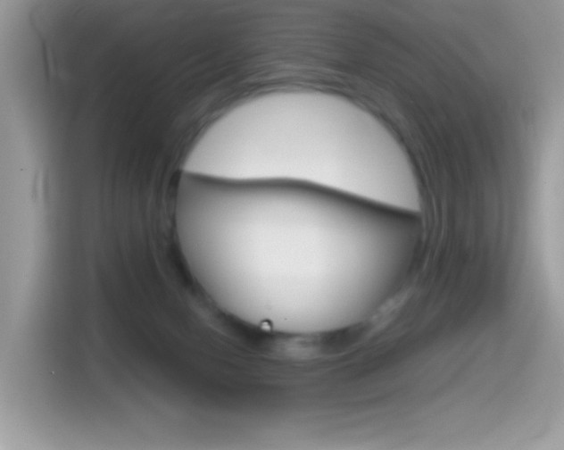 X0000114440078200910161100